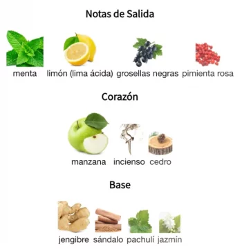 9 AM DIVE - EDP - Afnan - Unisex - 100ml