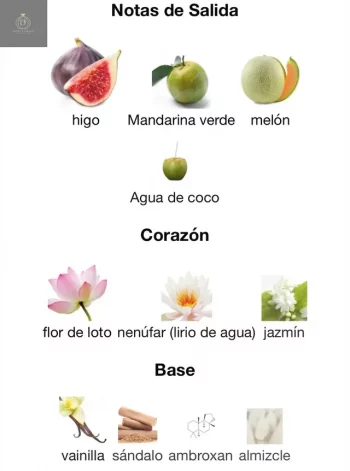 MAYAR NATURAL INTENSE