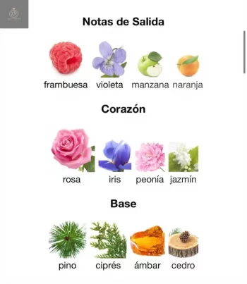 9 PM POUR FEMME - EDP - Afnan - Mujer - 100ml