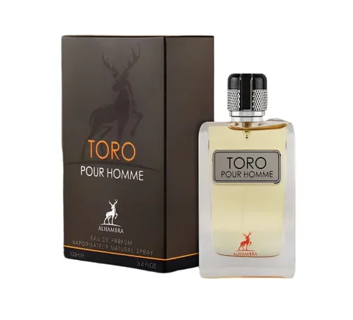 i5553663208 TORO POUR HOMME
