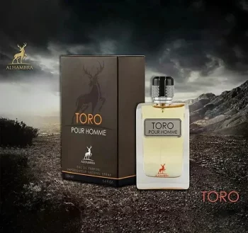 i5553663212 TORO POUR HOMME