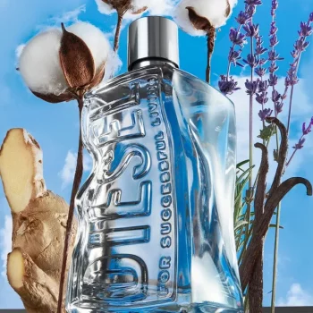 i5561041980 DIESEL FOR SUCCESSFULL LIVING