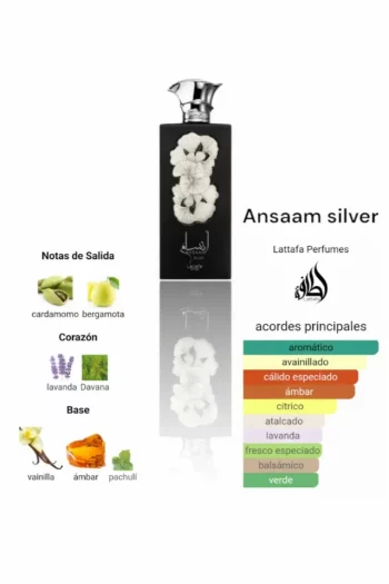 i5575174310 ANSAAM SILVER