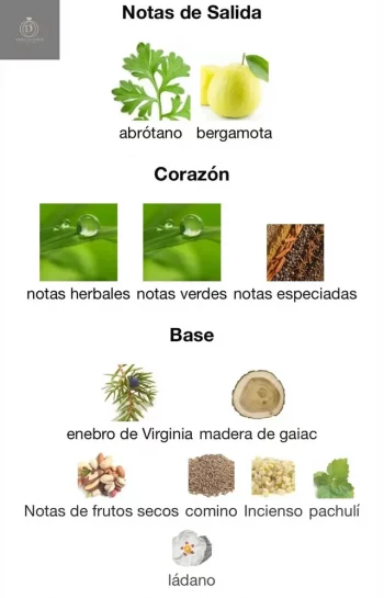 AL NOBLE SAFEER - EDP - Lataffa - Unisex - 100ml