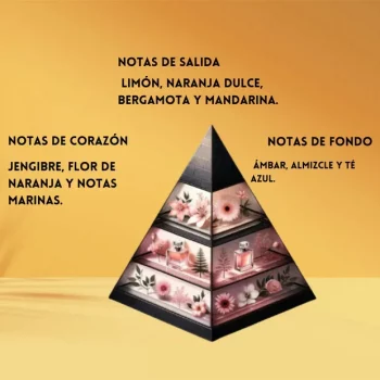 i5634907951 ODYSSEY LIMONI ARMAF