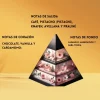 i5674338787 ODYSSEY DUBAI CHOCOLAT