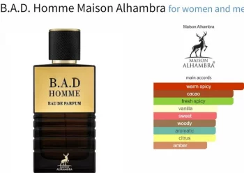i5695400350 B.A.D HOMME MAISON ALHAMBRA