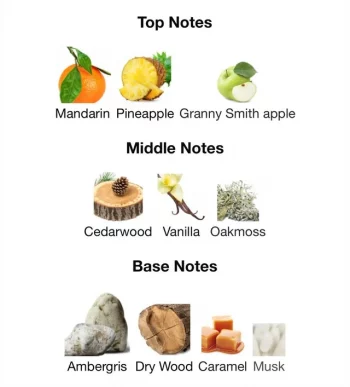 9PM REBEL - EDP - Afnan - Hombre - 100ml