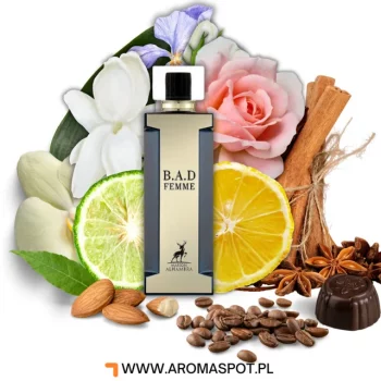 i5573835080 B.A.D FEMME