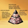i5593467755 COCOA MORADO