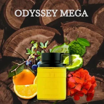 i5644152696 ODYSSEY MEGA