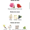 i5652776601 OLIVIA BLOSSOM
