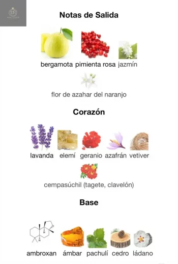 CLUB DE NUIT URBAN MAN ELIXIR - EDP - ARMAF - Hombre - 105ml