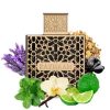 RAYHAAN ELIXIR EDP - Rayhaan - Unisex